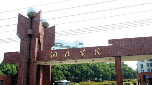 21屆美術生選擇機會變多了 這些院校或將校考招收美術生