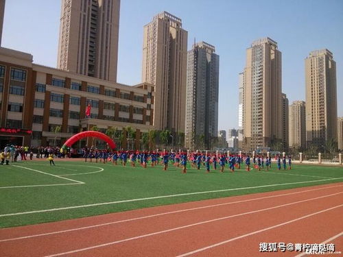 沈陽教育集團(tuán)及分校大盤點(diǎn) 你最中意的是哪所