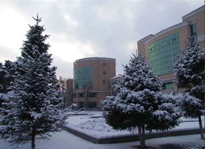 雪落冰城覆學府，回眸已是他鄉人——記雪后師大福清分校的別樣風致